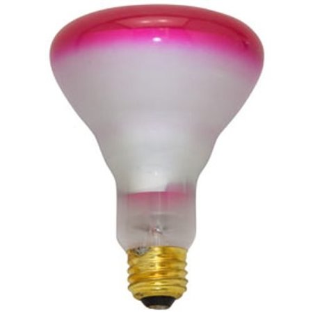 Ilc Replacement for Damar 317a replacement light bulb lamp 317A DAMAR